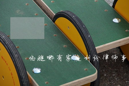 临漳哪有家庭纠纷律师事务所 临漳哪有家庭纠纷律师事务所