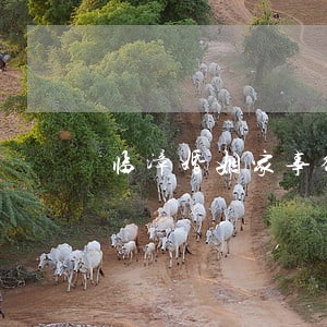 临漳婚姻家事律师事务所在线咨询 临漳婚姻家事律师事务所在线咨询