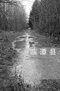临潭县合同公证律师 临潭县合同公证律师