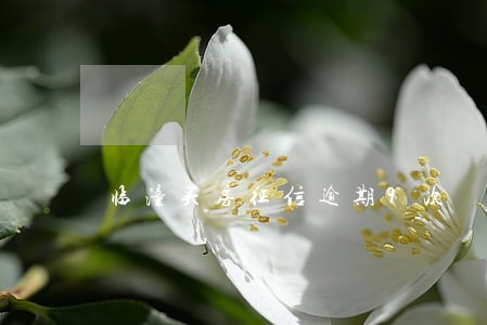 临潼买房征信逾期9次 临潼买房征信逾期9次