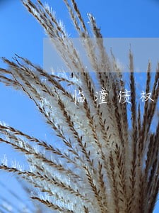 临潼债权债务纠纷律师 临潼债权债务纠纷律师
