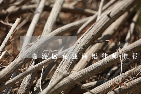 临潼区专业离婚律师推荐 临潼区专业离婚律师推荐