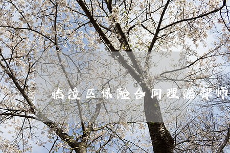 临潼区保险合同理赔律师 临潼区保险合同理赔律师