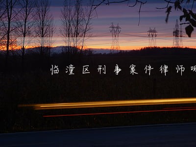 临潼区刑事案件律师哪家好 临潼区刑事案件律师哪家好
