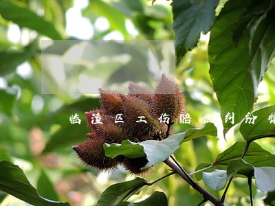 临潼区工伤赔偿纠纷律师 临潼区工伤赔偿纠纷律师