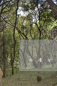 临潼合同律师在哪里让利客户