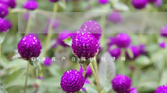 临潼房产合同纠纷律师 临潼房产合同纠纷律师