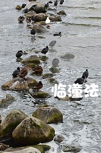 临潼法律咨询事务所 临潼法律咨询事务所