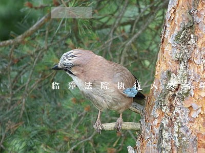 临潼法院执行人员名单