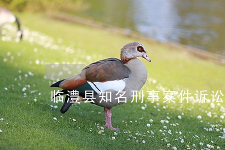 临澧县知名刑事案件诉讼律师 临澧县知名刑事案件诉讼律师
