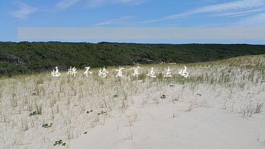 临牌不跨省算违法吗 临牌不跨省算违法吗