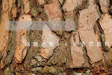 临牌逾期16天会罚款吗 临牌逾期16天会罚款吗