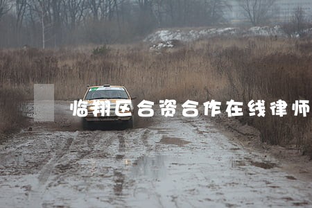 临翔区合资合作在线律师 临翔区合资合作在线律师