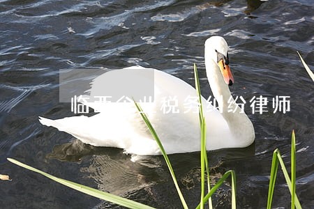 临西企业税务纠纷律师 临西企业税务纠纷律师