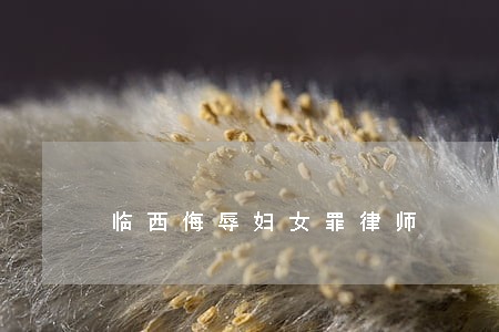 临西侮辱妇女罪律师