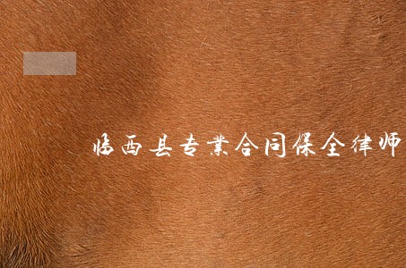 临西县专业合同保全律师 临西县专业合同保全律师