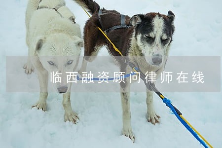 临西融资顾问律师在线 临西融资顾问律师在线