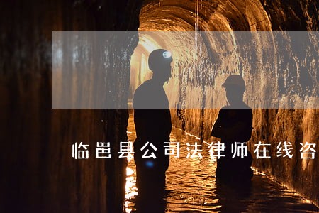 临邑县公司法律师在线咨询 临邑县公司法律师在线咨询
