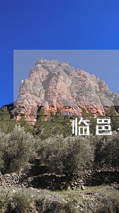 临邑县合伙协议律师位置