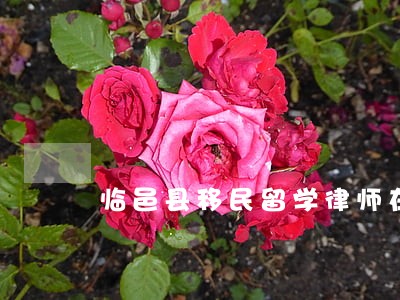 临邑县移民留学律师在线咨询 临邑县移民留学律师在线咨询