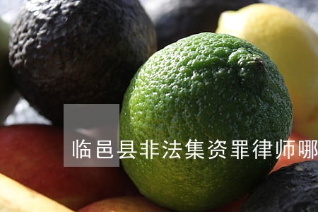 临邑县非法集资罪律师哪个好 临邑县非法集资罪律师哪个好