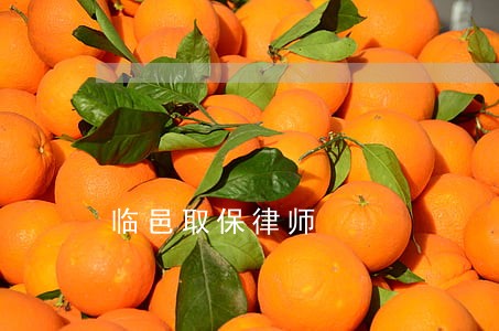 临邑取保律师 临邑取保律师