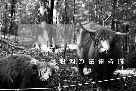 临邑尽职调查法律咨询 临邑尽职调查法律咨询