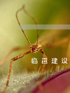 临邑建设工程索赔律师 临邑建设工程索赔律师