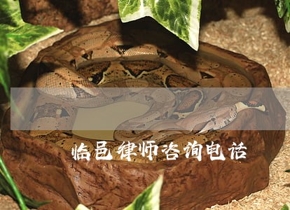 临邑律师咨询电话 临邑律师咨询电话