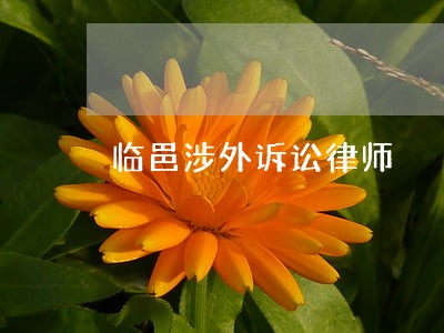 临邑涉外诉讼律师 临邑涉外诉讼律师