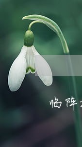 临阵换律师 临阵换律师