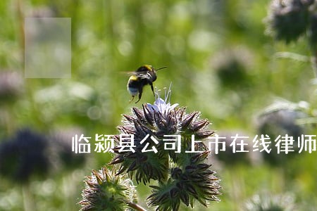 临颍县公司上市在线律师 临颍县公司上市在线律师