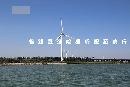 临颍县法院狠抓规范执行 临颍县法院狠抓规范执行