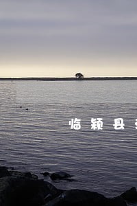 临颍县法院视频直播网 临颍县法院视频直播网
