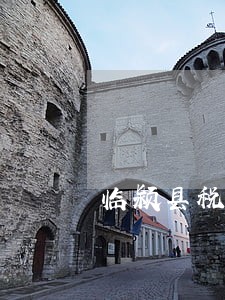 临颍县税务在线律师 临颍县税务在线律师