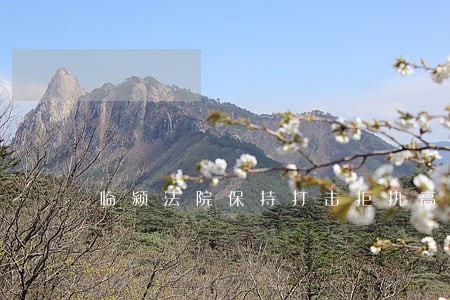 临颍法院保持打击拒执高压态势