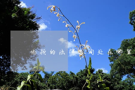 临颍的法律咨询处在哪里 临颍的法律咨询处在哪里