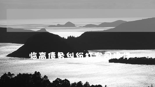 临高债务纠纷打官司律师
