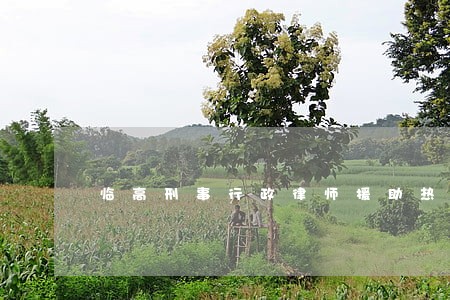 临高刑事行政律师援助热线 临高刑事行政律师援助热线