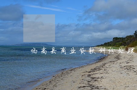 临高县商业贷款纠纷处理律师 临高县商业贷款纠纷处理律师