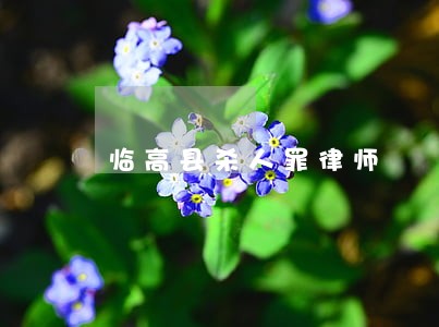 临高县杀人罪律师 临高县杀人罪律师