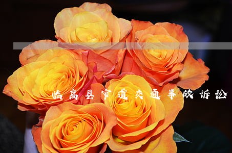 临高县窄道交通事故诉讼要多少钱 临高县窄道交通事故诉讼要多少钱