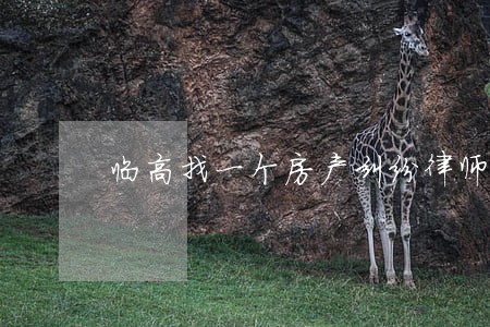 临高找一个房产纠纷律师要多少钱 临高找一个房产纠纷律师要多少钱