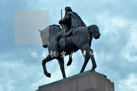 临高航空法律师 临高航空法律师