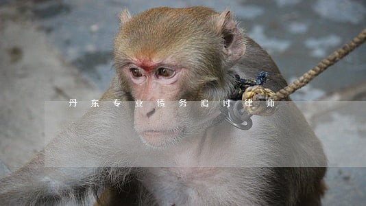 丹东专业债务追讨律师