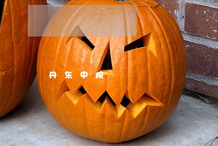 丹东中院 丹东中院