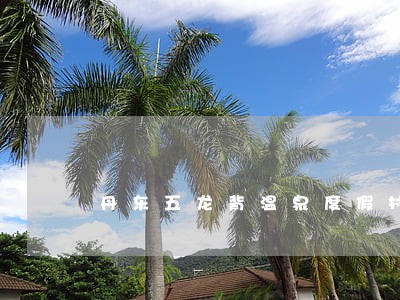 丹东五龙背温泉度假村价格表