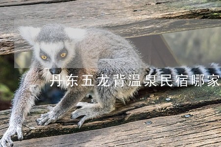 丹东五龙背温泉民宿哪家好