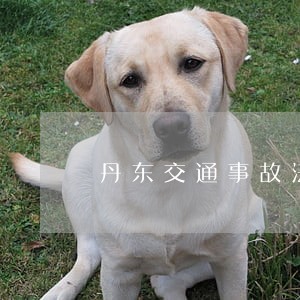 丹东交通事故法律咨询 丹东交通事故法律咨询