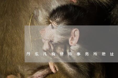 丹东凡响律师事务所地址